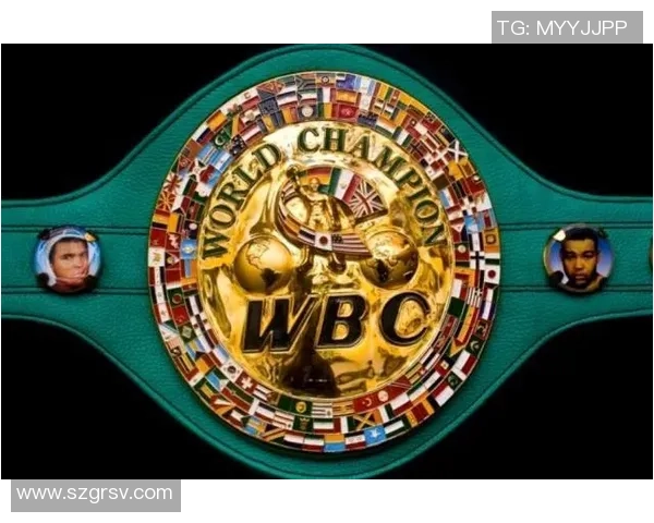 沃德利泄漏：下一年四月份的首场国际拳王卫冕战，自己有许多挑选